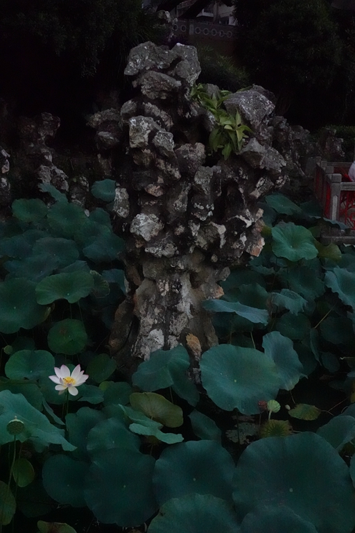 盧廉若公園的假山石。人民網(wǎng) 唐佳 攝