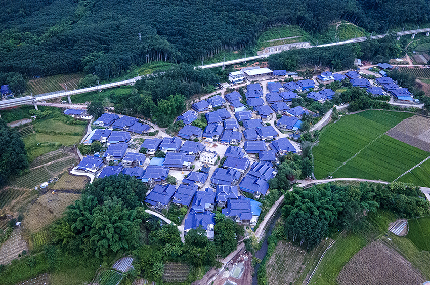 磨憨鎮(zhèn)曼莊村大龍哈小組現(xiàn)代化邊境幸福村新貌。人民網(wǎng)記者 符皓攝