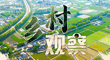 鄉(xiāng)村觀察