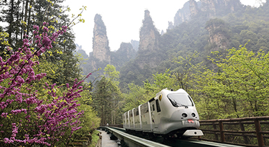 湖南張家界：假期旅游享春光