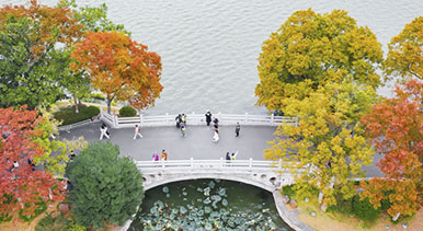 江蘇南京:玄武湖秋景如畫