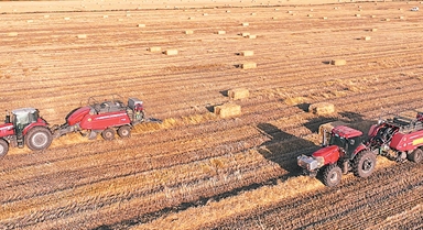 這場會，“含綠量”很足