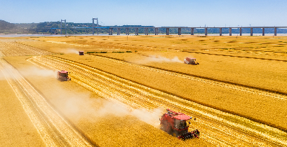 科技強(qiáng)農(nóng)糧滿倉(cāng)